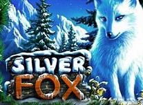 Silver Fox